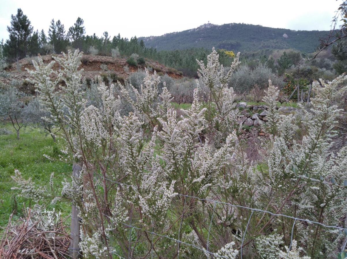 הוילה Montes da Senhora Refugio Do Raposo/Casa Altair מראה חיצוני תמונה